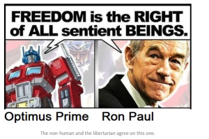 optimus paul